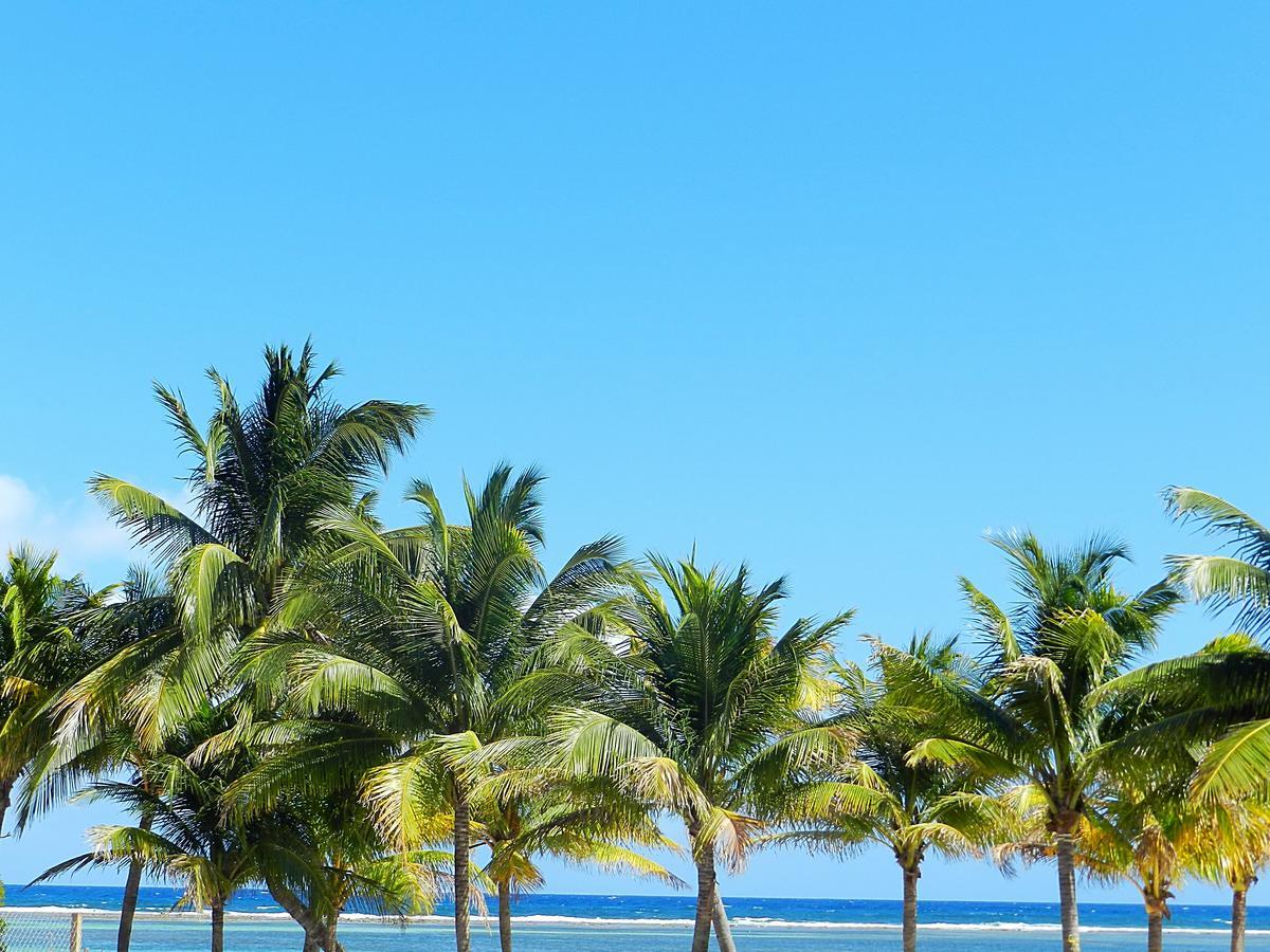 Palmeras De Mahahual Cabanas Екстериор снимка