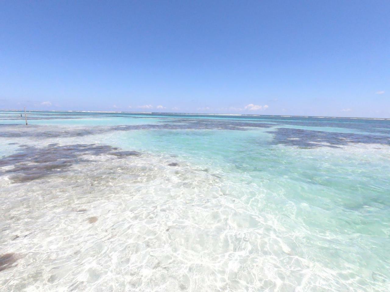 Palmeras De Mahahual Cabanas Екстериор снимка