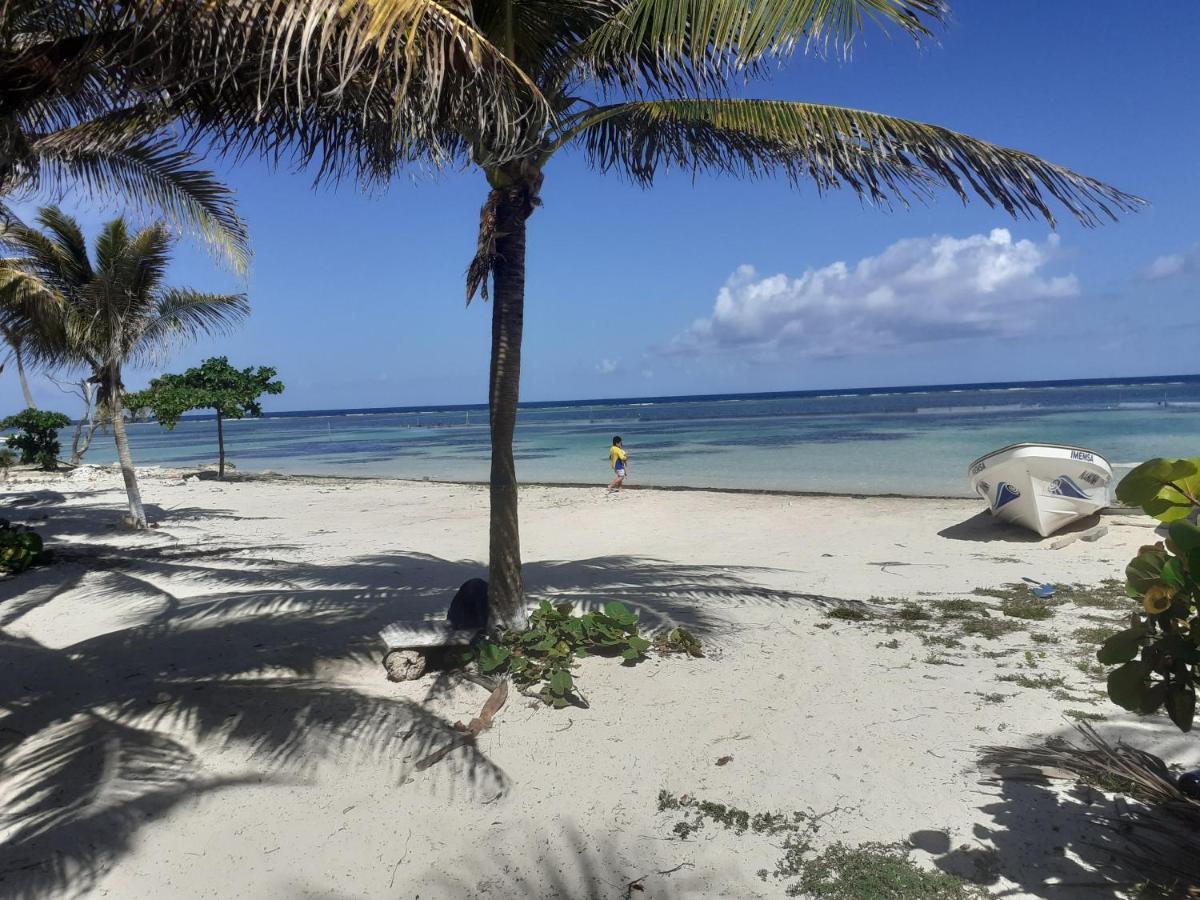 Palmeras De Mahahual Cabanas Екстериор снимка